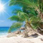Miniatura fototapety Palmy na tropikalnej plaży