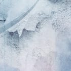 Miniatura fototapety Delikatne kwiaty na jasnym tle fragment #2