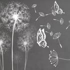 Miniatura fototapety Białe dmuchawce na szarym tle