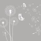 Miniatura fototapety Białe dmuchawce na szarym tle