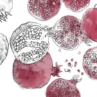 Miniatura fototapety Granaty na białym tle