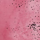 Miniatura fototapety Granaty na białym tle fragment #2