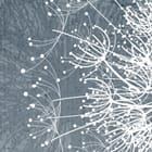 Miniatura fototapety Białe dmuchawce na szarym tle fragment #2