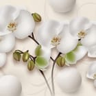 Miniatura fototapety Białe orchidee na gałęzi