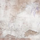 Miniatura fototapety Ceglana ściana z rysunkami roślin