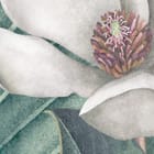 Miniatura fototapety Tropikalne liście i kwiaty fragment #1