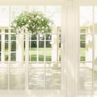 Miniatura fototapety Widok z okna z roślinami