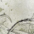 Miniatura fototapety Rośliny i Kwiaty na Szarym Tle fragment #2