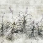 Miniatura fototapety Rośliny i Kwiaty na Szarym Tle