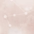 Miniatura fototapety Niedźwiedzie polarne na śniegu fragment #2