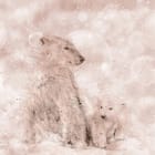 Miniatura fototapety Niedźwiedzie polarne na śniegu