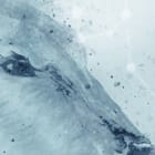 Miniatura fototapety Polarność i Spokój w Śniegu fragment #1