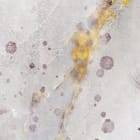 Miniatura fototapety Dmuchawiec na tle marmuru fragment #2