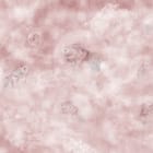 Miniatura fototapety Ryby w chmurach – eteryczna wizja