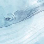 Miniatura fototapety Wieloryb w chmurach z balonami fragment #1