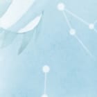 Miniatura fototapety Wieloryb w chmurach z balonami fragment #2