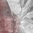 Miniatura fototapety Gałęzie Granatu na Betonie fragment #1