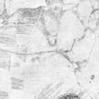 Miniatura fototapety Gałęzie Granatu na Betonie fragment #2