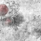 Miniatura fototapety Gałęzie Granatu na Betonie