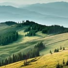 Miniatura fototapety Zielone wzgórza i las iglasty