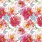 Miniatura fototapety Kwiaty piwonii na białym tle