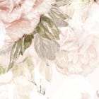 Miniatura fototapety Różowe róże na jasnym tle fragment #1