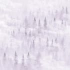 Miniatura fototapety Mglisty las iglasty na wzgórzach