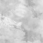 Miniatura fototapety Mglisty las z drzewami iglastymi fragment #1