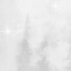 Miniatura fototapety Mglisty las z drzewami iglastymi fragment #2