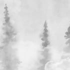 Miniatura fototapety Mglisty las z drzewami iglastymi fragment #3