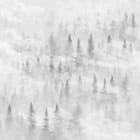 Miniatura fototapety Mglisty las z drzewami iglastymi