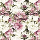 Miniatura fototapety Piwonie na białym tle