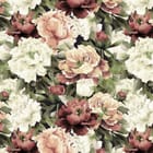 Miniatura fototapety Piwonie w odcieniach różu i bieli