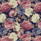 Miniatura fototapety Kwiaty piwonii na ciemnym tle