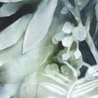 Miniatura fototapety Liście w odcieniach zieleni i niebieskiego fragment #1