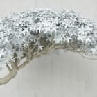 Miniatura fototapety Drzewo z Białymi Liśćmi 3D