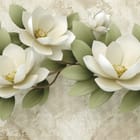 Miniatura fototapety Białe Magnolie na Gałęzi