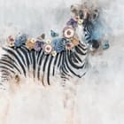 Miniatura fototapety Zebry z kwiatowym akcentem