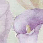 Miniatura fototapety Kwiaty kalii w pastelowych barwach fragment #1