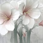 Miniatura fototapety Lilie na szarym tle z różowymi akcentami