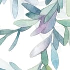 Miniatura fototapety Wiszące gałęzie z liśćmi fragment #1