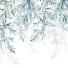 Miniatura fototapety Wiszące gałęzie z liśćmi