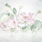 Miniatura fototapety Lilie i kwiaty lotosu na wodzie