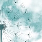 Miniatura fototapety Dmuchawce na tle chmur fragment #1