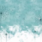 Miniatura fototapety Dmuchawce na tle chmur