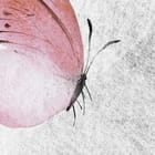 Miniatura fototapety Różowe pióra na jasnym tle fragment #1