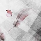 Miniatura fototapety Różowe pióra na jasnym tle