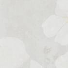 Miniatura fototapety Gałęzie Sakury z Białymi Kwiatami fragment #2