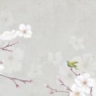 Miniatura fototapety Gałęzie Sakury z Białymi Kwiatami