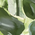 Miniatura fototapety Zielone liście na jasnym tle fragment #1